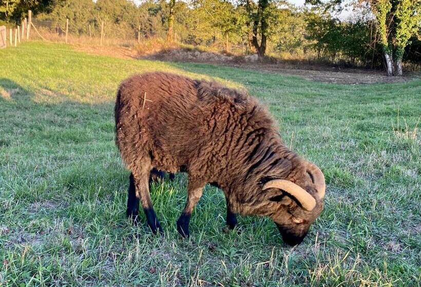 مبيت وإفطار Domaine Bourgade