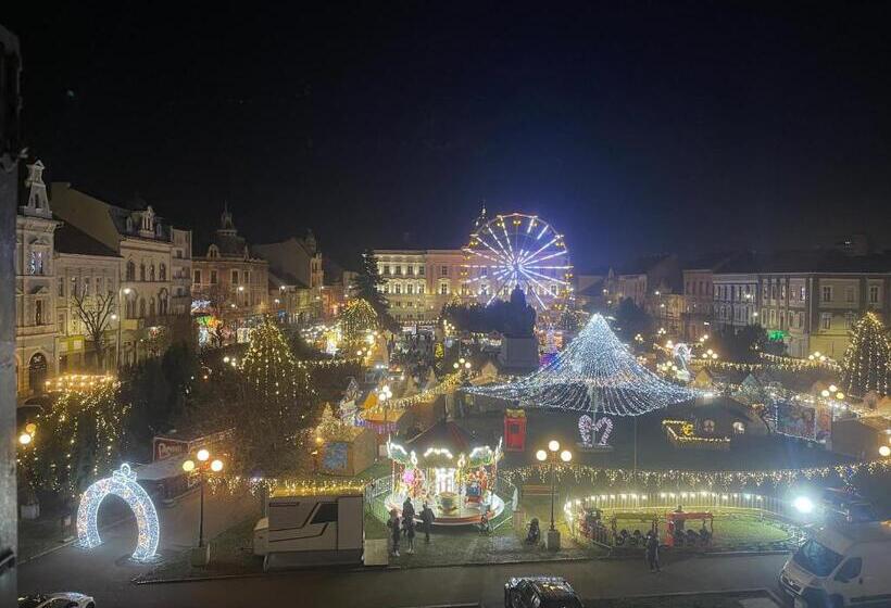 Cozyflat In The Central Arad