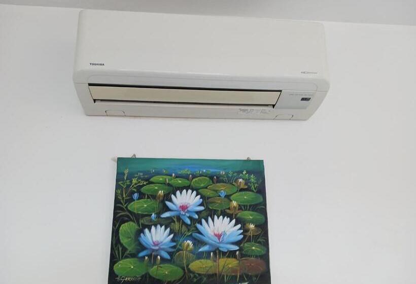 Отель Andy S Place