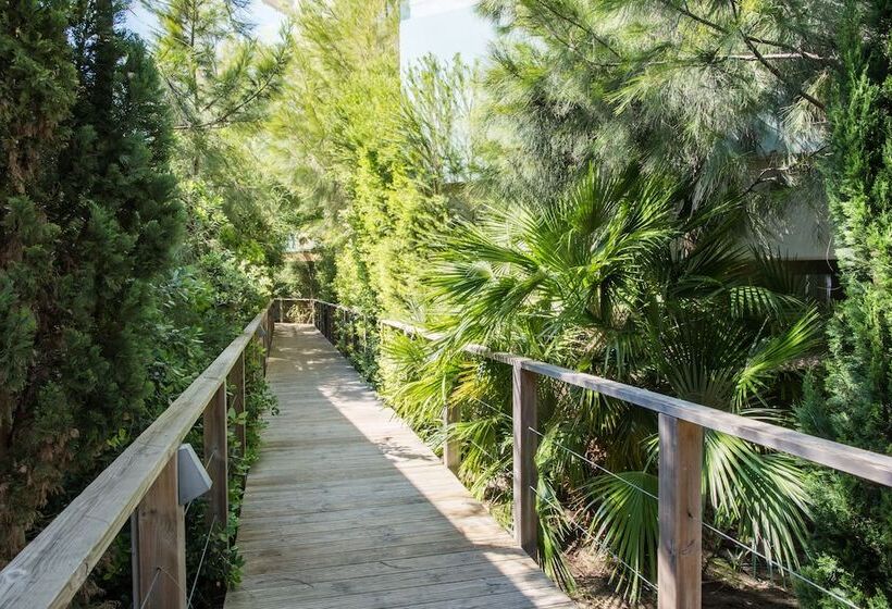 호텔 Aqualuz Troia Mar by The Editory