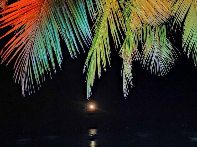 On Board Panglao Beach Hostel & Resort