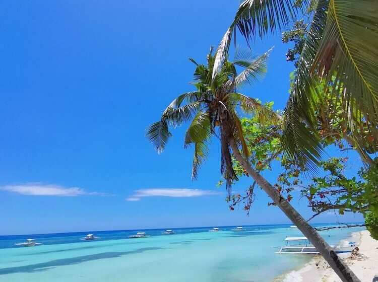 On Board Panglao Beach Hostel & Resort