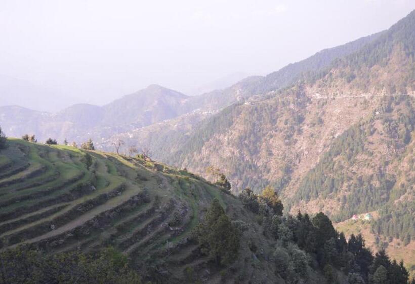 بنسيون Majestic