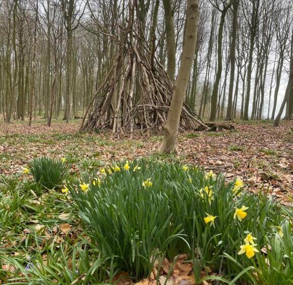 펜션 La Canopée Des Arbres, Anna