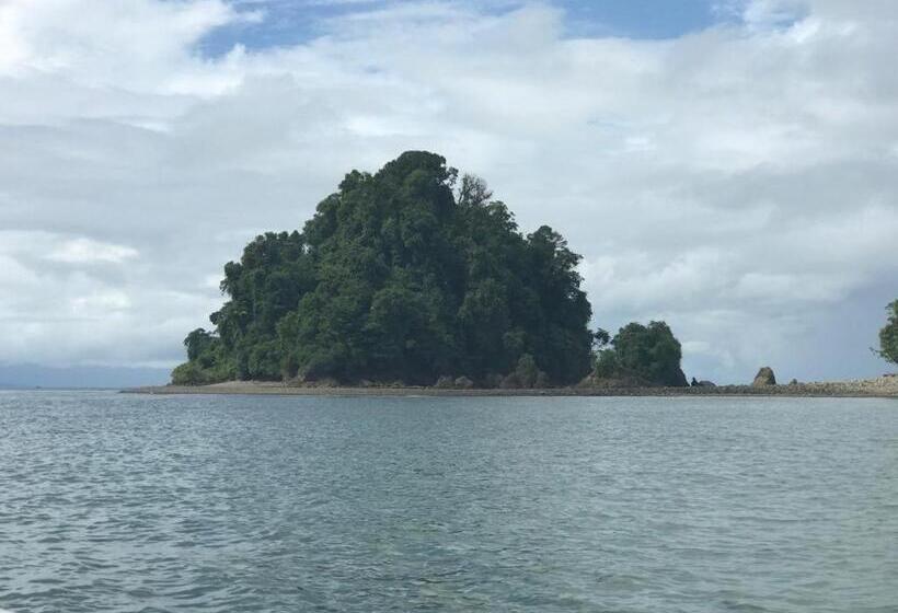 膳宿费 Posada Jurubirá