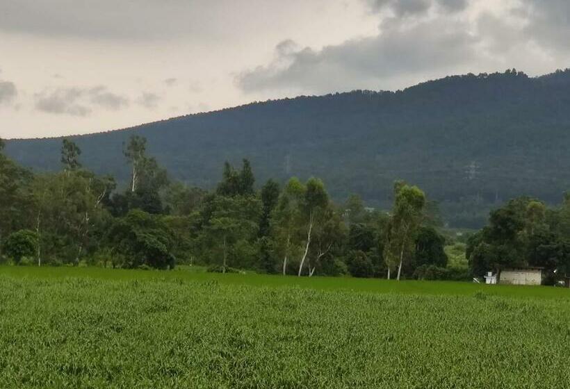 ペンション The Olive Greens