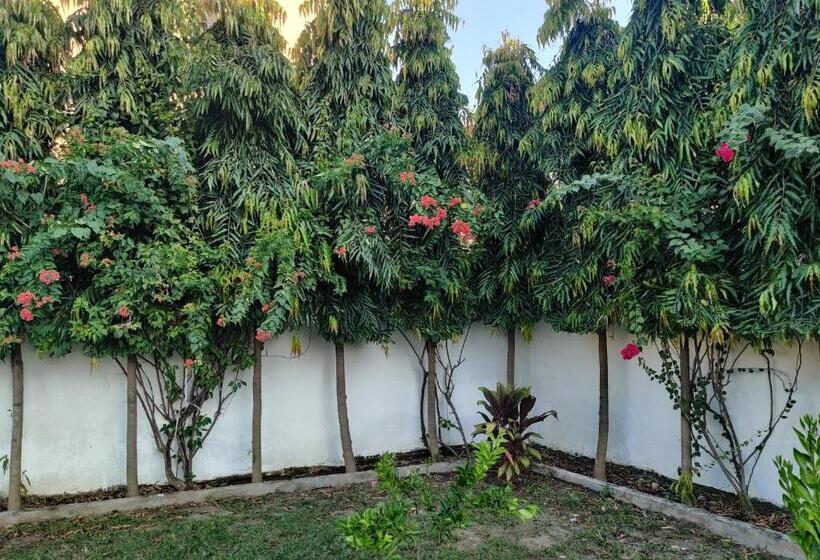 ペンション The Olive Greens