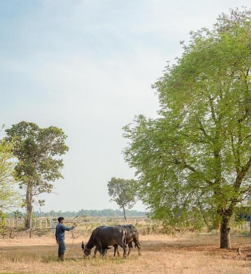 Phanomrung Hostel & Linn Chan Cafe พนมรุ้ง โฮส์เทล แอนด์ ลิณณ์จัง คาเฟ่