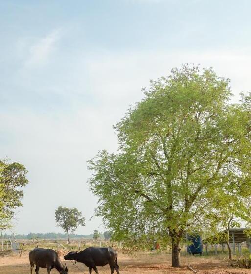 Phanomrung Hostel & Linn Chan Cafe พนมรุ้ง โฮส์เทล แอนด์ ลิณณ์จัง คาเฟ่