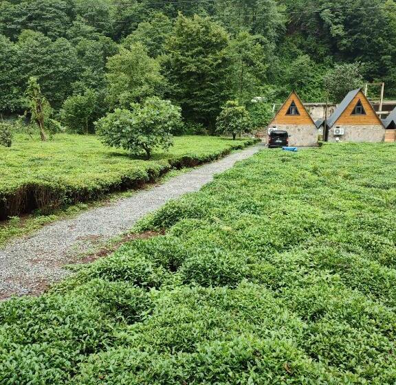 渡假胜地  Seri̇ndere Bungalow