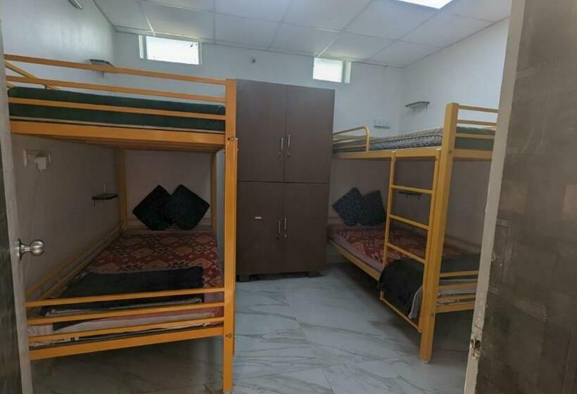 Albergue Shepherd Stories   The Nizam View