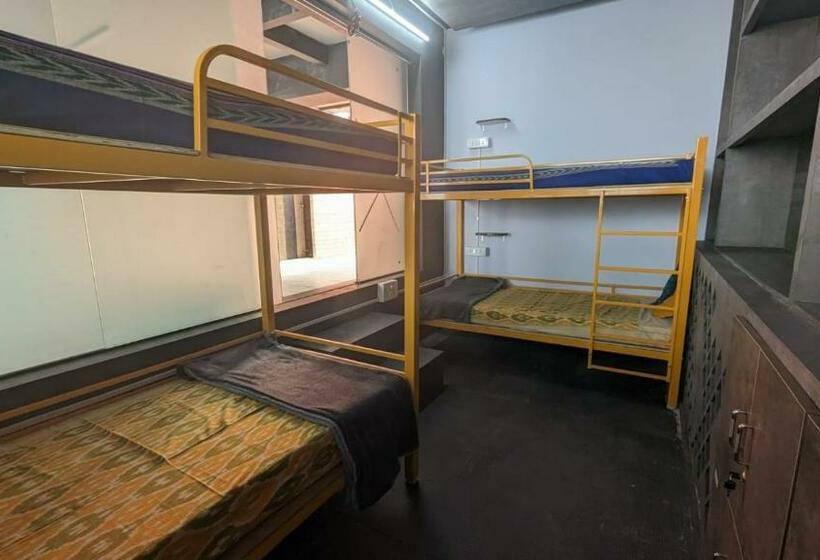 Albergue Shepherd Stories   The Nizam View