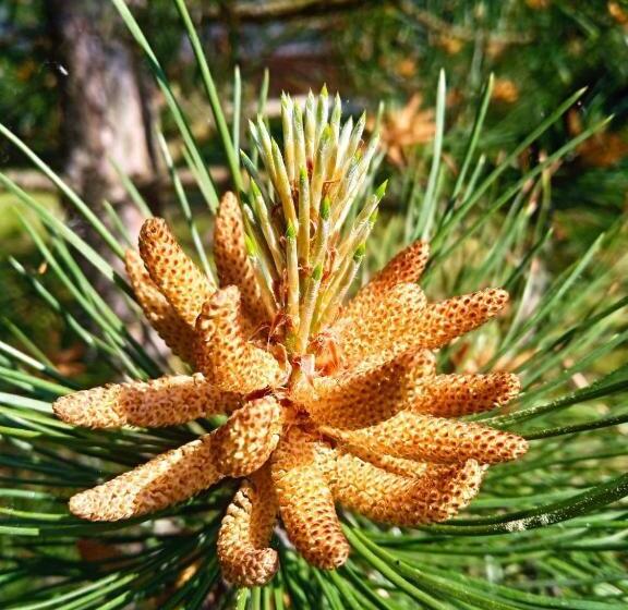 فندق оздоровительный комплекс княжий град