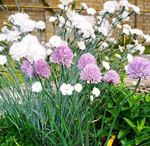 فندق оздоровительный комплекс княжий град