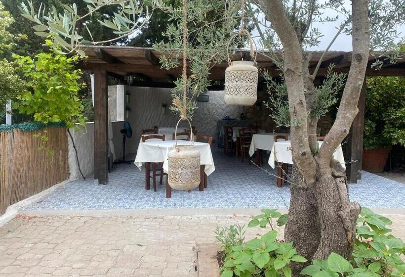 פנסיון Barrumbas