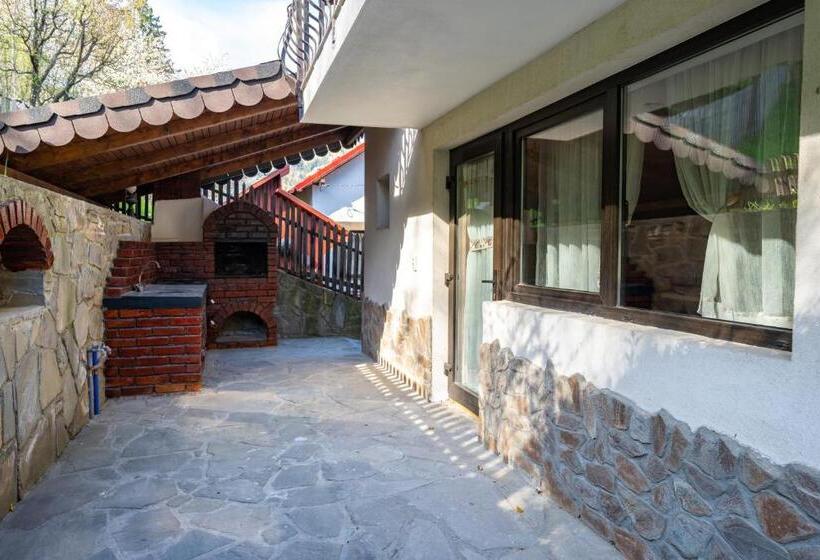 Пансион Casa De La Munte