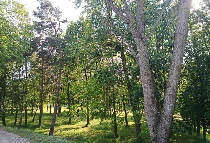 Pensão Josephus Vendégház