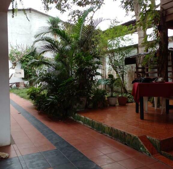 פנסיון La Casa Del Arbol