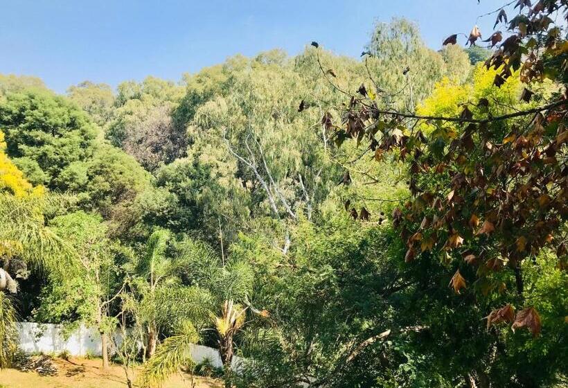 펜션 Pretoria Mansion Boutique