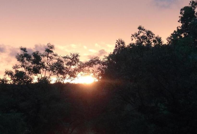 Aussicht Bio Hotel Restaurant Cafe