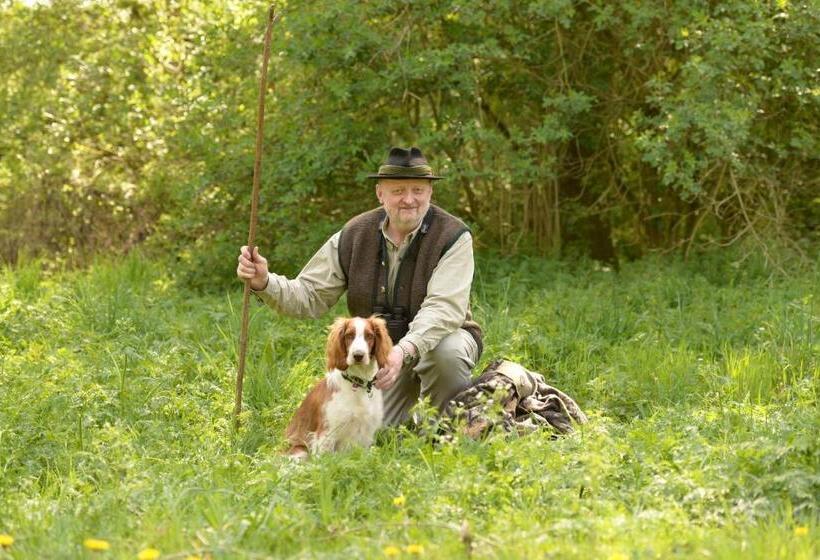 Gasthof & Hotel Goldene Krone