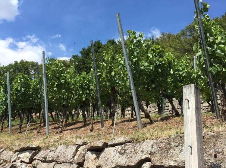 Отель Alte Rose Gasthaus