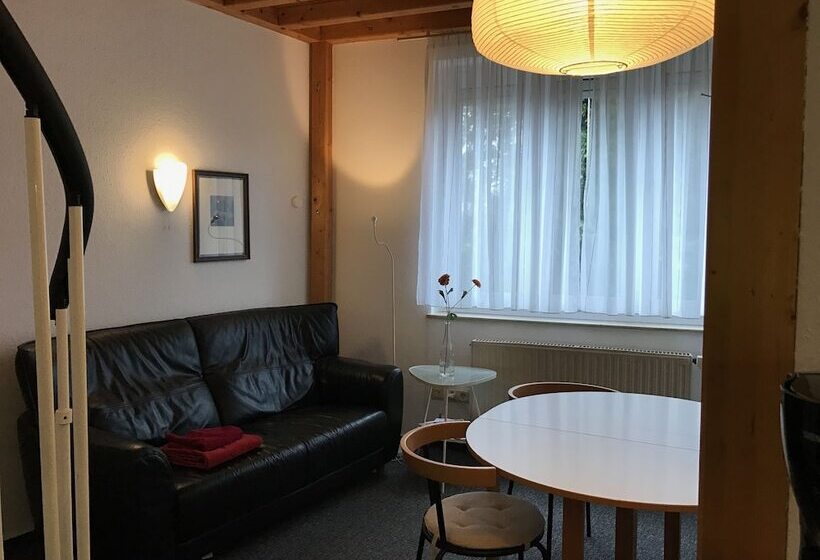 호텔 Apartmenthaus Somborn