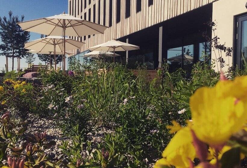 בית מלון כפרי Bader