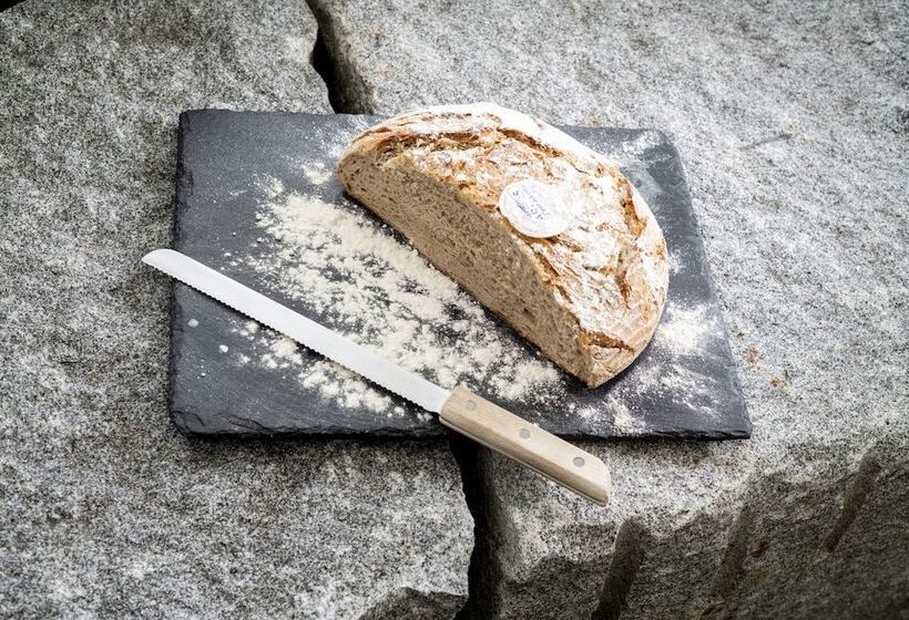 בית מלון כפרי Bader