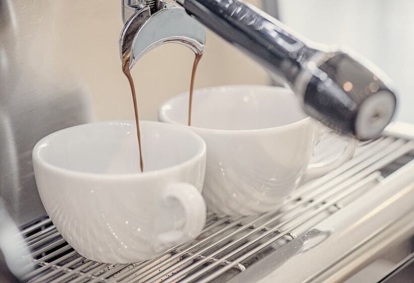 בית מלון כפרי Bader