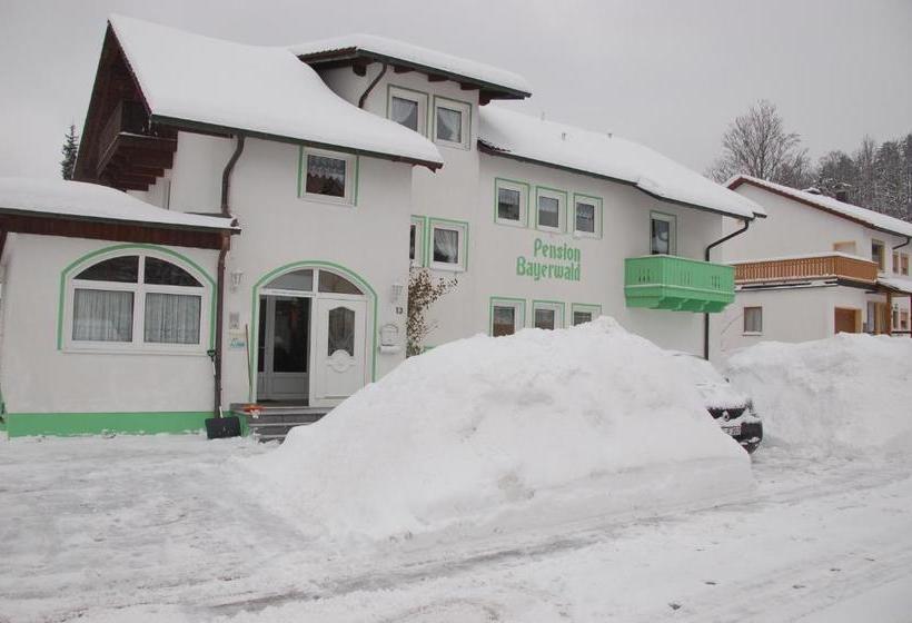 酒店 Pension Bayerwald