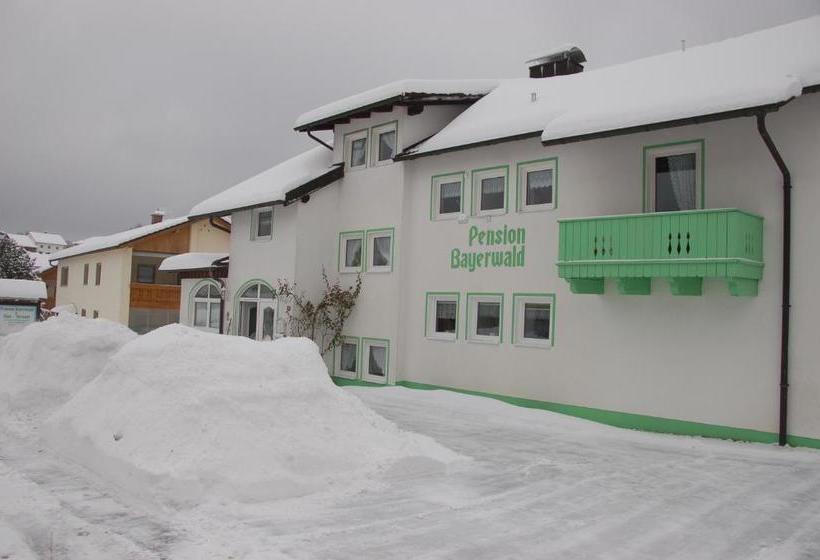 酒店 Pension Bayerwald