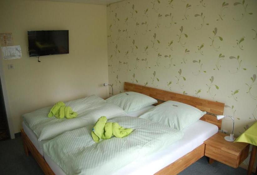 酒店 Pension Bayerwald