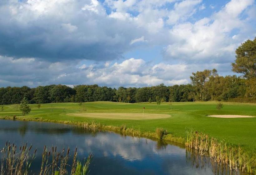 فندق Castello Apartments