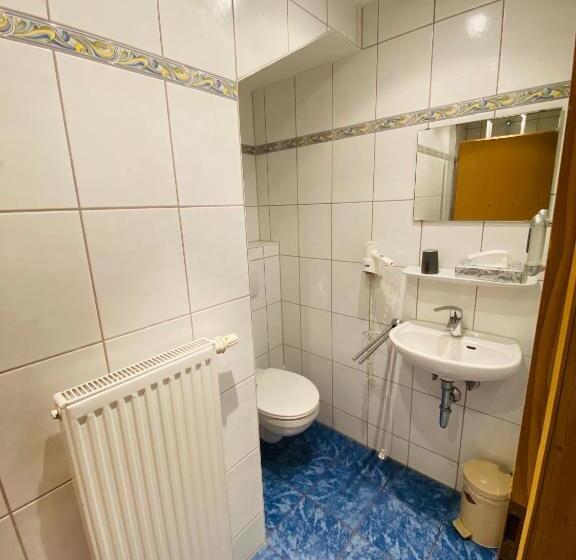 Отель Gasthaus Elsäßer Hof