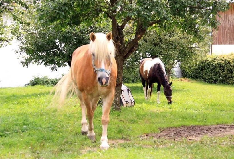 בית מלון כפרי Gasthof Zum Oberen Wirt