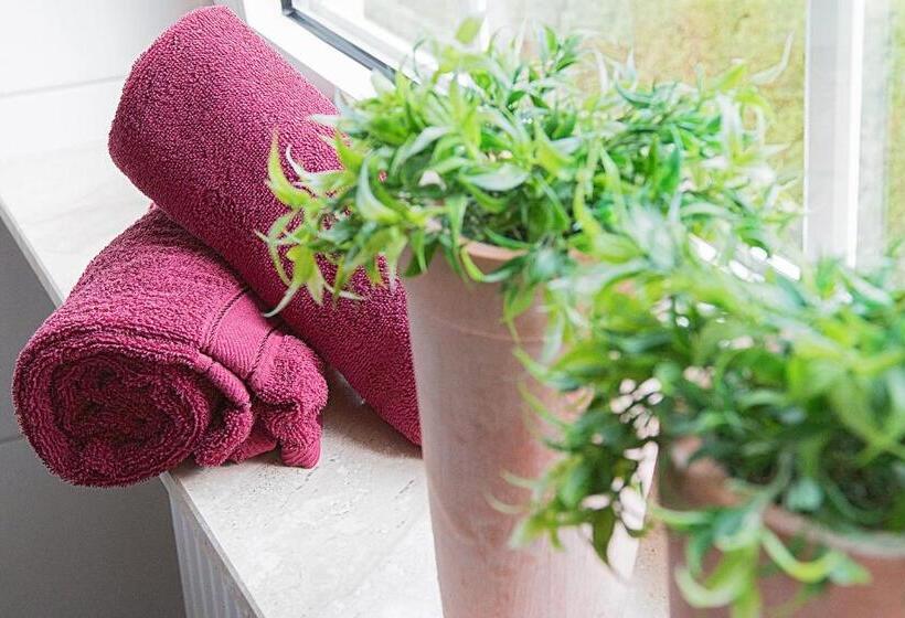 酒店 Haus Anna An Der Stadtmauer