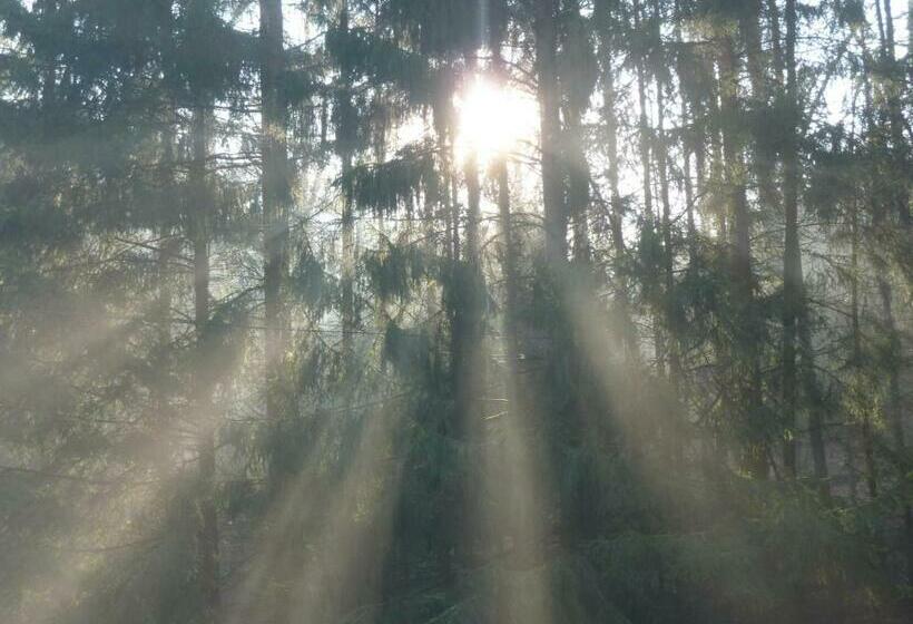 ホテル Hof Guttels Waldgasthof Ferienpension