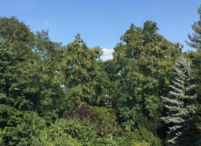 Отель Hope Inn Apartments