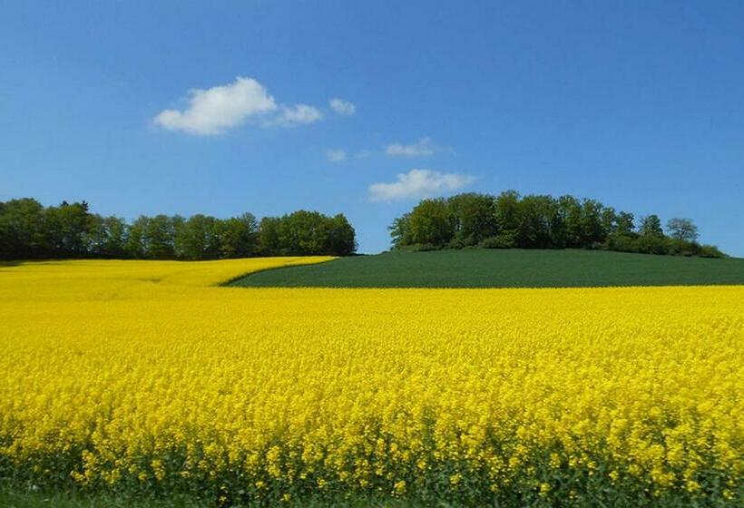 호텔 Landgasthof Hof Roscheid