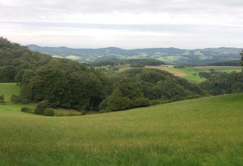 Отель Pension Zur Schönen Aussicht
