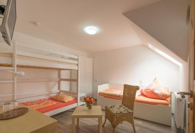 Отель Pension Zur Schönen Aussicht