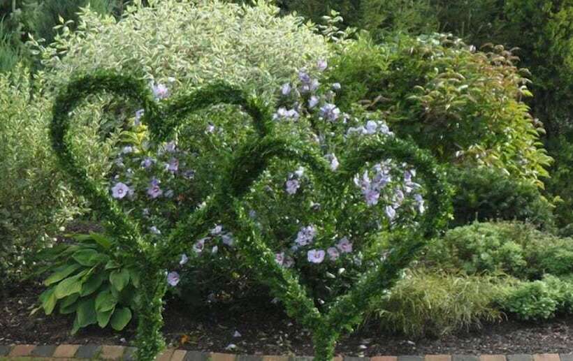 Отель Landgasthof Zum Wiesengrund
