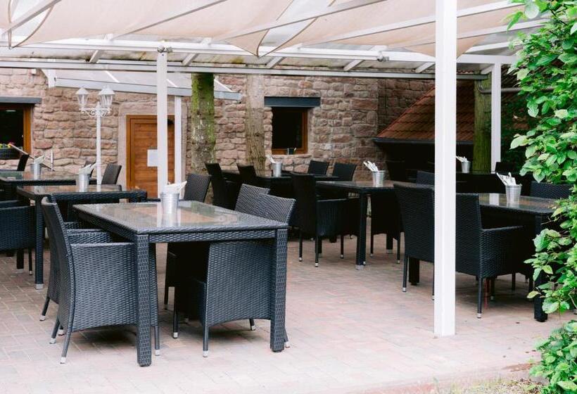 בית מלון כפרי Landgasthof Zur Alten Scheune