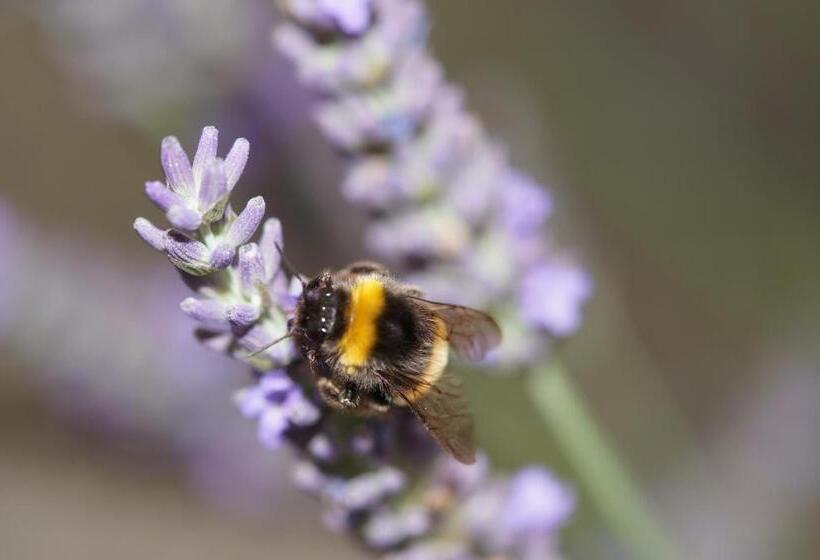 ホテル Gasthaus & Pension Lisas Welt Wasserkuppe