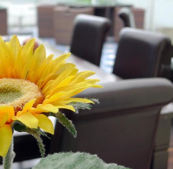 בית מלון כפרי Mader