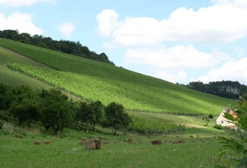 בית מלון כפרי Mainblick Garni