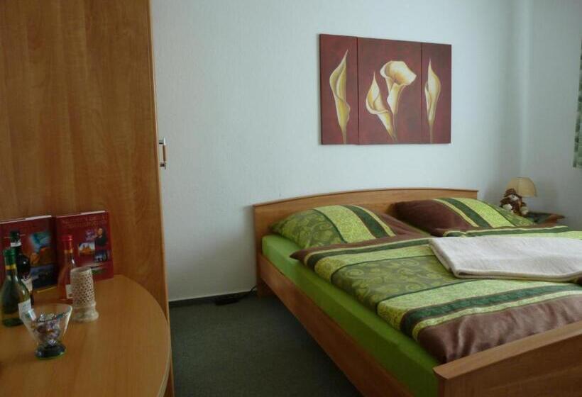 酒店 Pension Am Peeneufer Ug