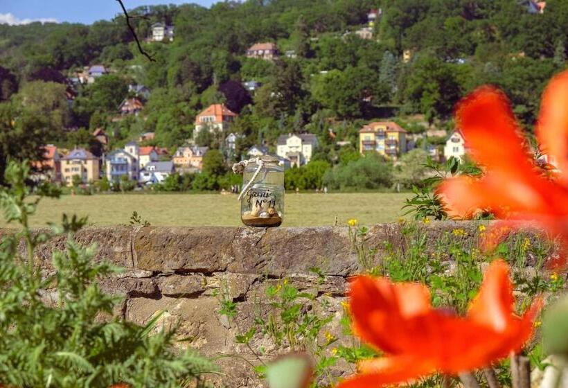 Отель Pension Garni No.11