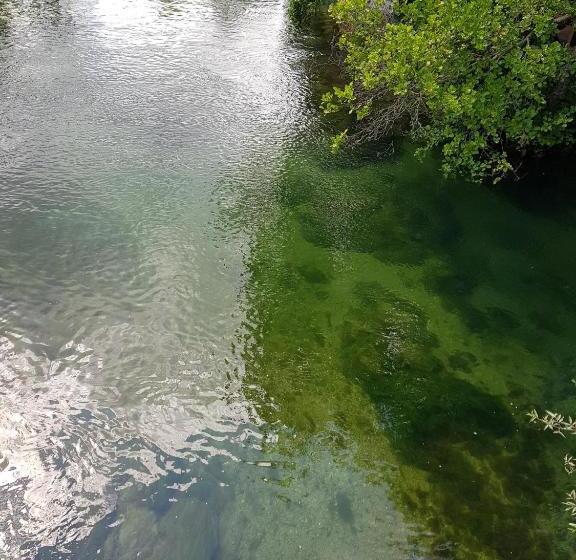 호텔 Pension Helgoländ